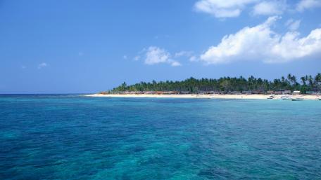 Tropical Paradise by the Crystal Clear Water wallpaper