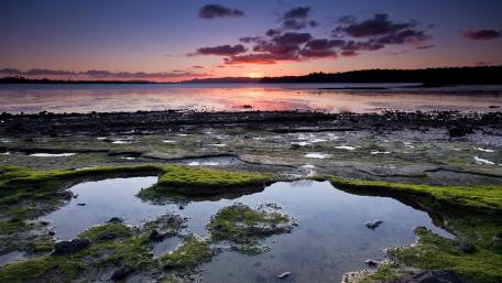 Tranquil Sunset Over Serene Marshland wallpaper