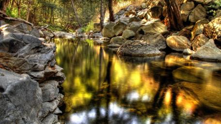 Serene Reflection of Nature's Beauty wallpaper