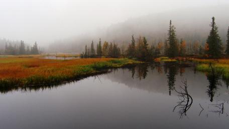 Serene Misty Reflection on a Tranquil Lake wallpaper