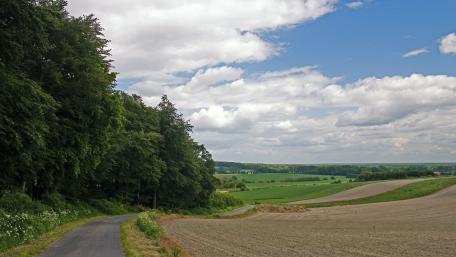 Serene Country Landscape with Rolling Hills and Clouds wallpaper
