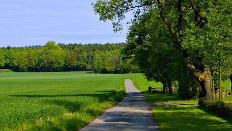Tranquil Countryside Pathway Invites Exploration wallpaper