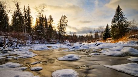 Winter Serenity by the River Bank wallpaper