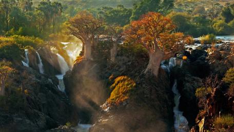 Majestic Waterfalls and Baobab Trees in Nature's Embrace wallpaper