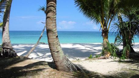Tranquil Tropical Paradise Escape wallpaper