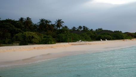 Tranquil Beach Oasis wallpaper