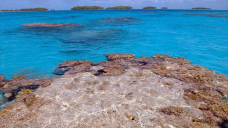 Vibrant Tropical Waters Under a Bright Sky wallpaper