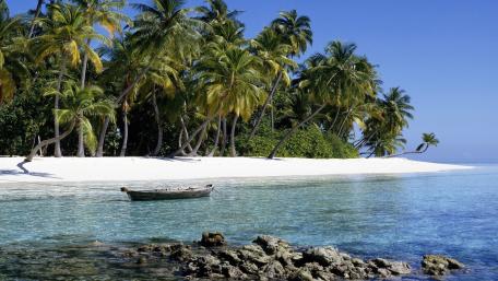 Tropical Paradise by the Crystal Clear Water wallpaper