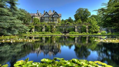 Tranquil Reflection in a Lush Garden Scene wallpaper