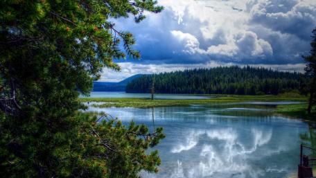 Tranquil Reflection of Nature's Beauty wallpaper
