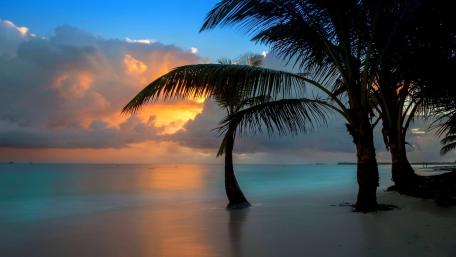 Serene Sunset on Tropical Beach Scene wallpaper
