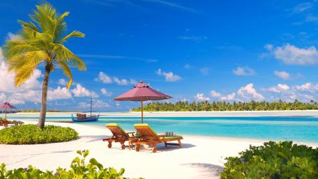 Tropical Paradise with Serenity and Sunshine wallpaper