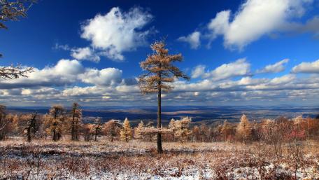 Serene Winter Landscape Under Blue Sky wallpaper