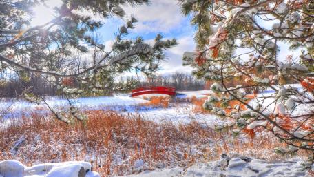 Winter Wonderland with a Red Bridge Through Nature's Beauty wallpaper