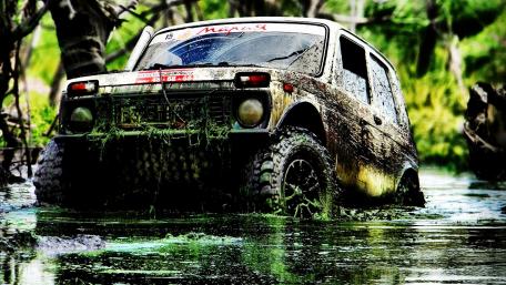 Adventure Awaits in the Muddy Wilderness wallpaper