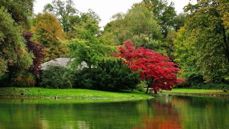 Serene Reflections in a Vibrant Parkland Scene wallpaper