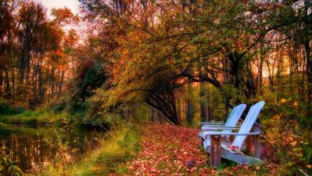 Serene Autumn Retreat by the Water wallpaper
