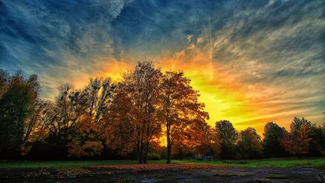 Radiant Autumn Sunset Over Lush Trees wallpaper