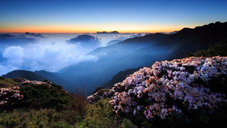 Breathtaking Mountain Sunrise with Blooming Flowers wallpaper