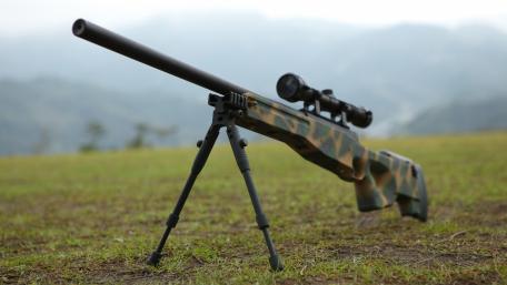 Military Precision in Nature's Embrace wallpaper