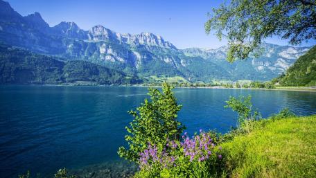 Serene Lakeside View in Majestic Mountains wallpaper