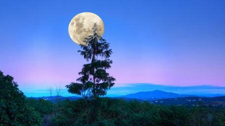 Majestic Moonrise Over Twilight Landscape wallpaper