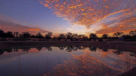 Serene Sunset Reflected in Water wallpaper
