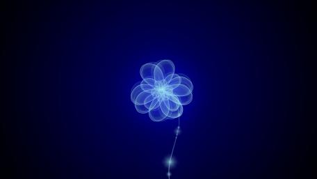 Elegant Blue Floral Abstract Design wallpaper