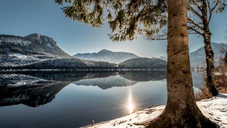 Serene Winter Reflection in Nature wallpaper