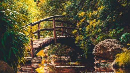 Tranquil Wooden Bridge in Nature Scene wallpaper