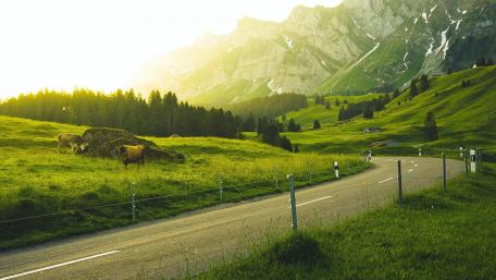 Serene Mountain Meadow at Sunrise wallpaper