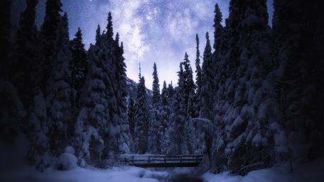 Enchanting Winter Night Sky wallpaper
