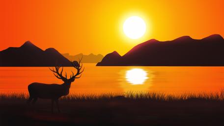 Stunning Sunset with Majestic Deer Silhouette wallpaper
