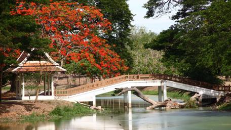 Serene Lake Scene with Blossoming Trees and Bridge wallpaper