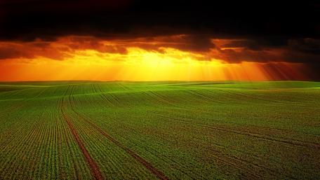 Vibrant Sunset Over Lush Fields wallpaper