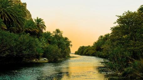 Serene River Amidst Lush Palms and Golden Skies wallpaper