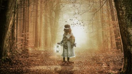 Whispers of Light in the Enchanted Forest wallpaper