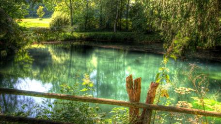Tranquil Reflection of Nature's Serenity wallpaper