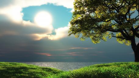 Tranquil Sunlit Horizon Scene wallpaper