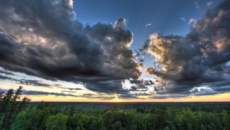 Majestic Sunset Over Serene Forest Landscape wallpaper