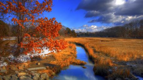 Autumn Serenity in Nature's Embrace wallpaper