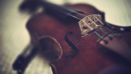 Melodic Strings in Focus wallpaper