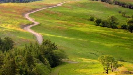 Winding Path Through Lush Green Hills wallpaper