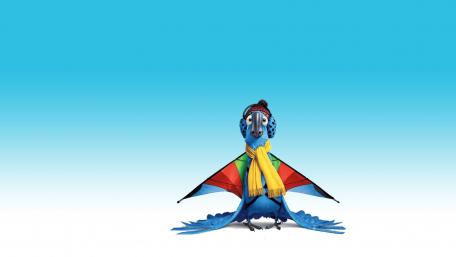 Colorful Bird Ready for Adventure wallpaper