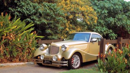 Vintage Luxury Car in Nature's Embrace wallpaper