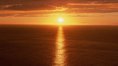 Golden Horizon at Sunset wallpaper