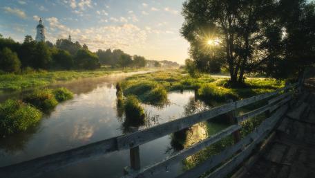 Serene Morning by the Riverbank wallpaper