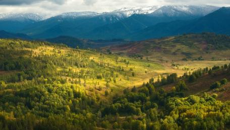 Breathtaking Mountain Landscape with Lush Greenery wallpaper