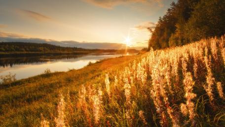 Golden Sunrise Over Tranquil River Landscape wallpaper
