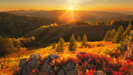 Vibrant Autumn Landscape at Sunrise wallpaper